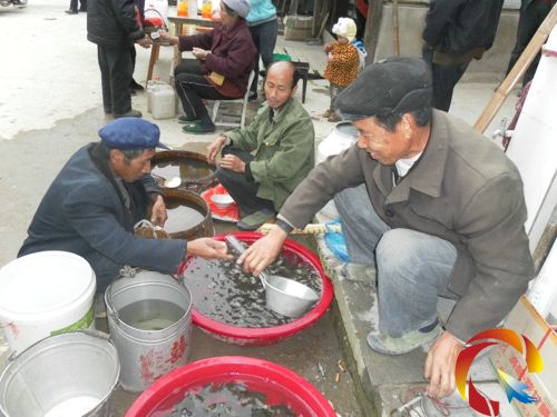 ���������~����龰