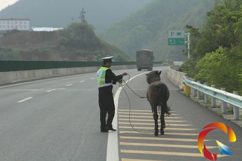 ���������R����