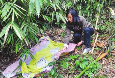 ���A�W�u�����ľ�Ԯ����һ�����ԾͶ�һ��ϣ��