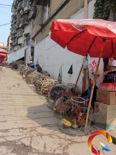 ��������Ļ��ݽ����Ј�