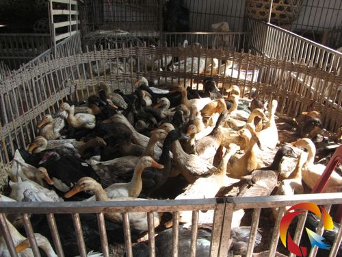 �����u��������������؜��