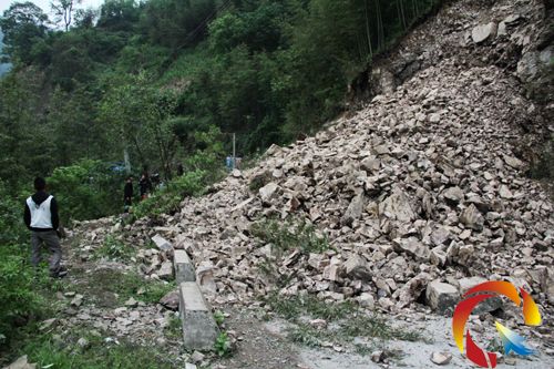 ����311ʡ�����_������