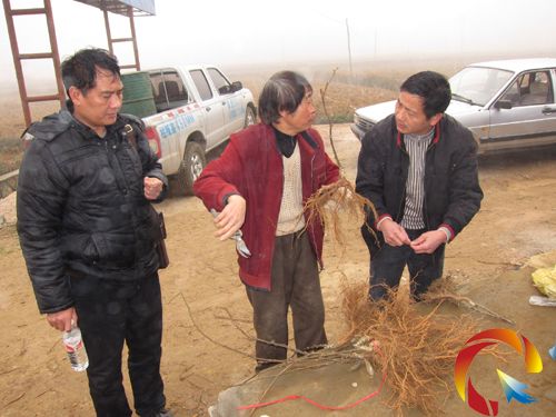 �D�鹫˾���g�T�򮔵��r����ګJ���Ҽ޽ӷNֲ���o���g