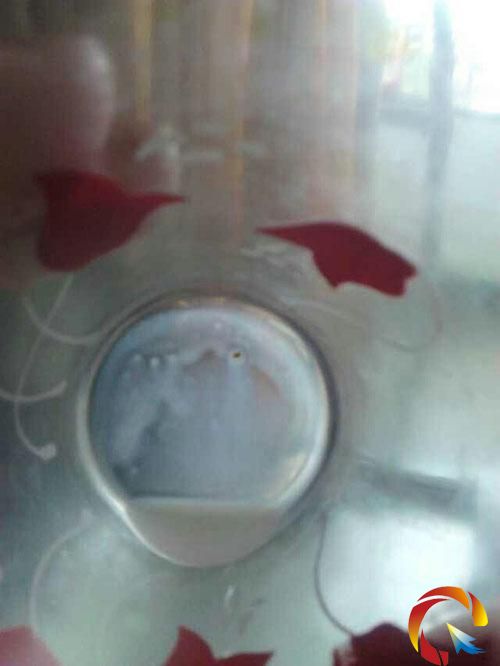 �̷��г��F��ɫ����