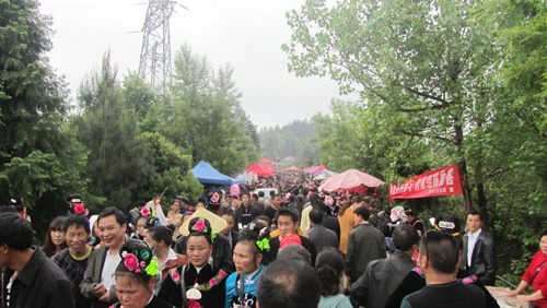 �˳�����