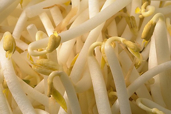 17�q�Е�ҹ�ϾW��� ��������F����ԓ���Ӽ���?