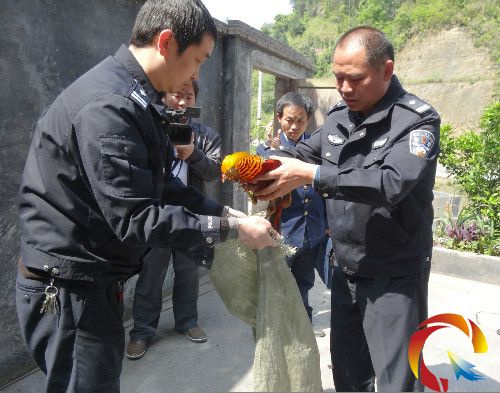 �D��̷��ˆT��@�ć��Ҷ������o����t���\�u