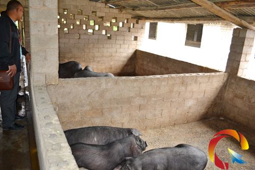 �����B���i