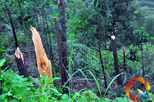 ���r���ؔ�Ĵ��