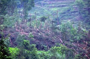 ��h��Ϫ���������L�E�ꡱ ������ľ���r���ؔ� һЩɽ�^���ꡰ���^��