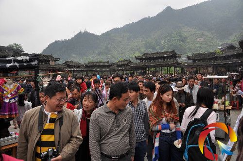 �D������ǧ����կ2013����һ���g����������������Ⱥ