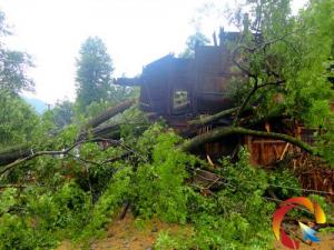 ��h��Ϫ��������L��������u�� 10000������ľ���Δ�