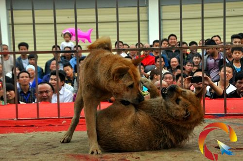 ������˺��ҧ