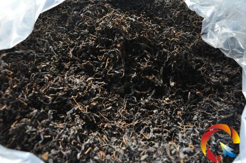 Ұ�����X����