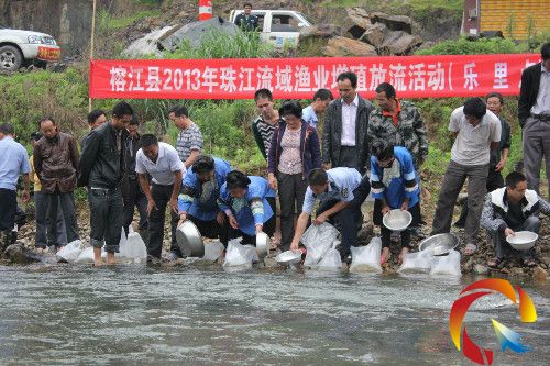 �D�������������~����龰