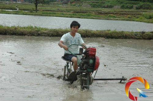 �D����ƽ�h�r�����r�C�ɻ�����Ρ�