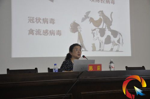 �D���n�����������