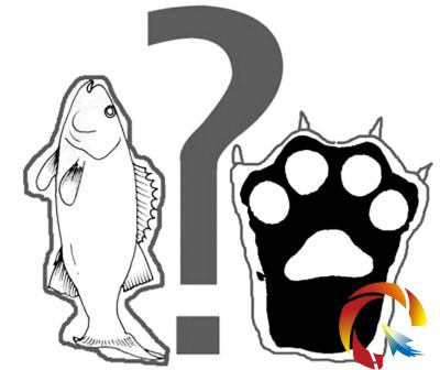 ����Ӌ�����񱊷��� ����Ӣ�������Ҫ�ׅf(xi��)