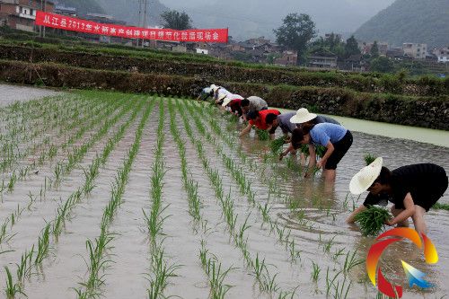 �D���r�I�ɲ����������