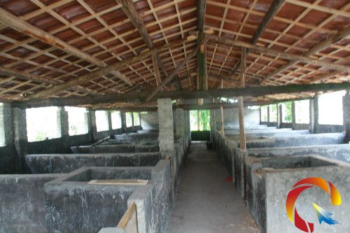 �D�����i�B(y��ng)ֳ��(bi��o)��(zh��n)Ȧ���(n��i)��