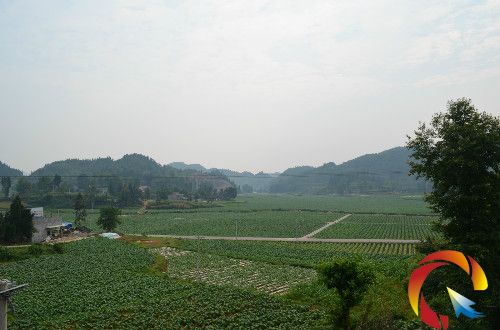 �D�韟�~�L������