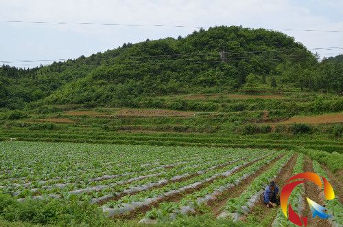  �D�韟�r���ڟ��س���