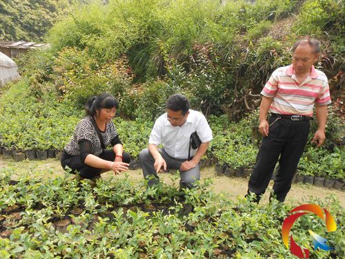 ��ؚ�kһ���ڲ鿴����