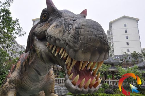 ���������Ŀ���