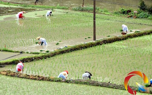 �D�鮔�գ�ԓ�h��կ�塰�S���n�����������M����ԓ���T��ˮ����ð�����