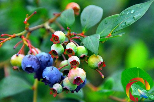 �{(l��n)ݮ����