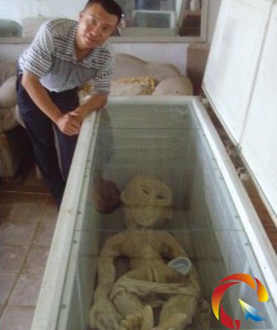 �ԷQ����������ˡ� ɽ�|���ӱ�����5��