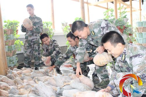 �Ľ��h���䲿���Լ����p�ֺͿƌW(xu��)�����Nֲϲ�@�S��