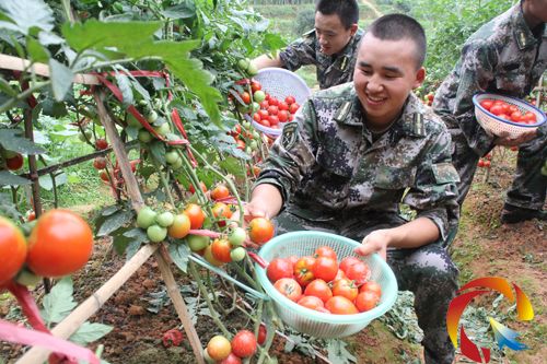 �Ľ��h���䲿���Լ����p�ֺͿƌW(xu��)�����Nֲϲ�@�S��