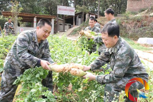 �Ľ��h���䲿���Լ����p�ֺͿƌW(xu��)�����Nֲϲ�@�S��