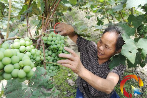 ʯ����С�������ؽo�����x������һЩ�ĵ��ļ�����