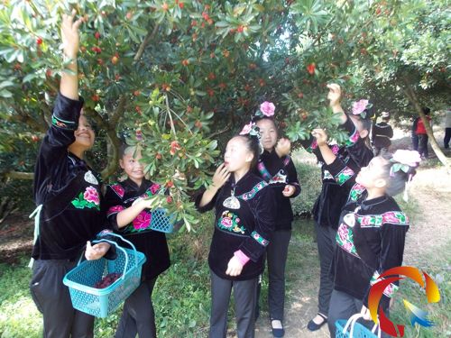 �����Ů�w��ժ��÷