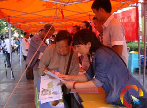 �D�鹤���ˆT��������x�����Y�ϡ�