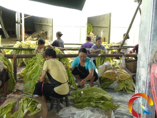 �R�¾��c���rһ�𽉗U���~