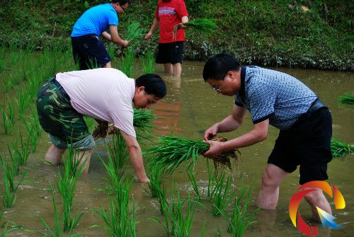 �D��Ф��܊(��һ)�ͼo�z�O��ɲ��ڎʹ�������