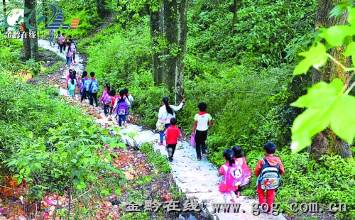 �ͬС�W(xu��)�ČW(xu��)����������䁺õ��όW(xu��)·��