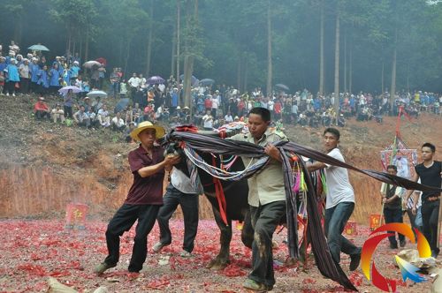 �˂���ˮţ�F�����龰