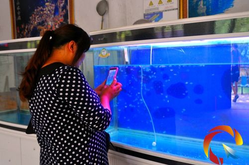 �ο����^���һ�ˮĸ