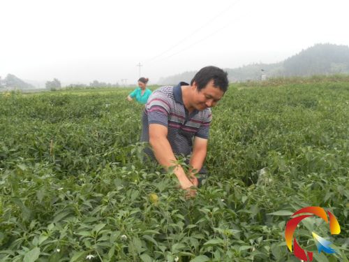 ����ܷ�D�����ժ�ཷ