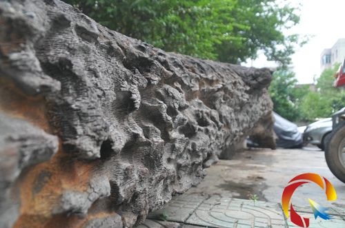 ���[Ƭ��ꎳ�ľ