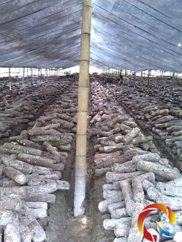 �����屻ˮ�͛]�㹽�����