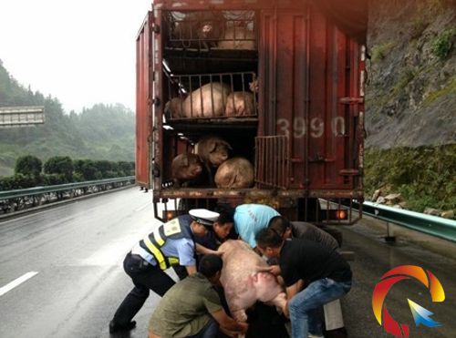 ���ˎ�æ�����i���ܫ@��Ѻ�ϴ�؛܇