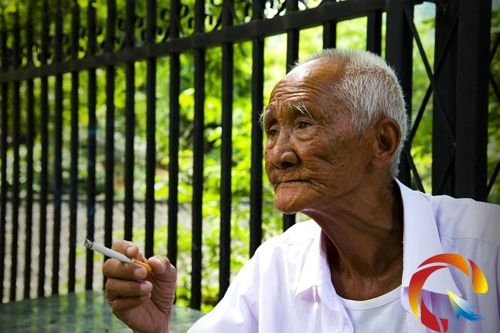 �����(�������zӰ)