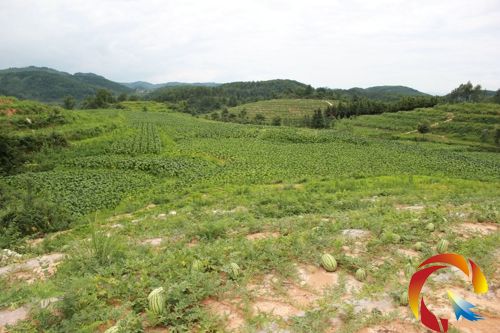 ��ɽ��׃���yɽ