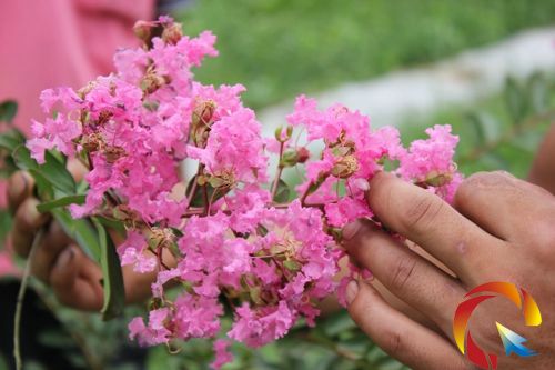 �������۵��ִ��_���G���Ļ���