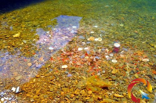 ��������Ļ����